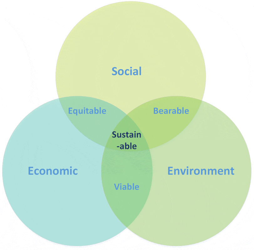 What is sustainability